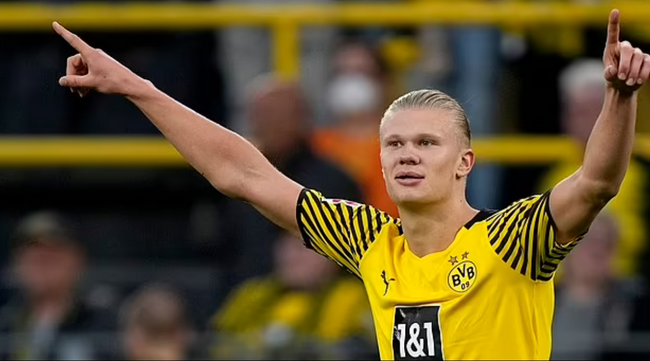 风险中等 风险中等